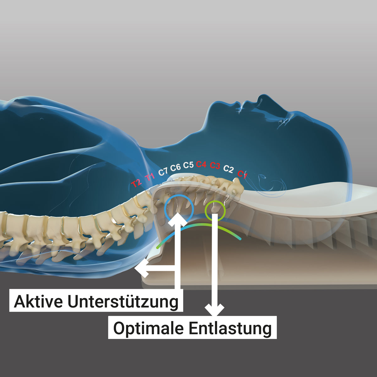RECHARGE® Recovery Nackenstützkissen – Entlastung bei Nackenschmerzen & Prävention